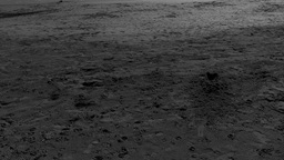 «CASI UNA VIDA», una pequeña realidad + versión cat/eusk/gal/eng