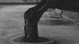 «IMPRESIÓN EQUIVOCADA», una pequeña&nbsp;realidad