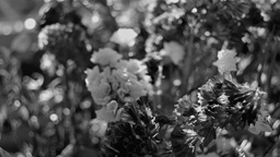 «INTIMIDAD COMPARTIDA», una pequeña&nbsp;realidad