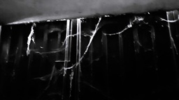 «RIESGOS LABORALES», un cuento de&nbsp;terror