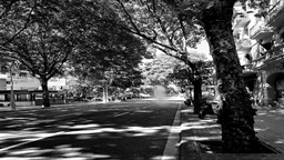 «LO QUE DEJAMOS POR EL CAMINO», una pequeña&nbsp;realidad