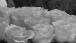 «SENCILLAMENTE AMOR», una pequeña&nbsp;realidad