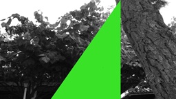 «MORFOTRANSFORMACIÓN», un cuento de ciència&nbsp;ficción.